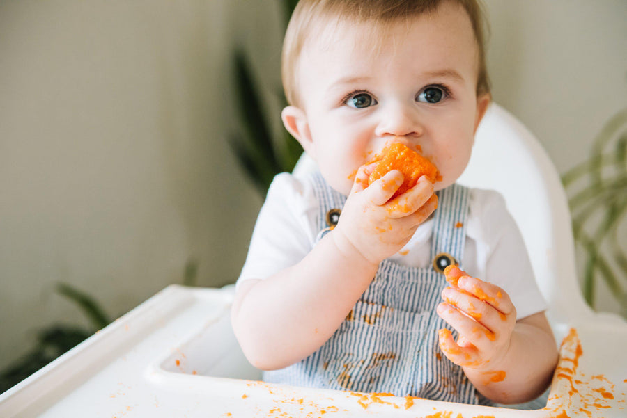Carrot and ginger baby food